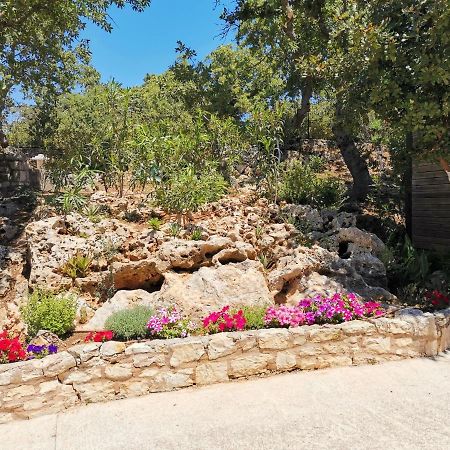 Villa Ermis - The Cretan Castello Kástellos Esterno foto