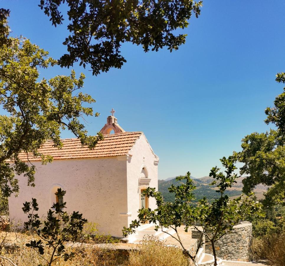 Villa Ermis - The Cretan Castello Kástellos Esterno foto