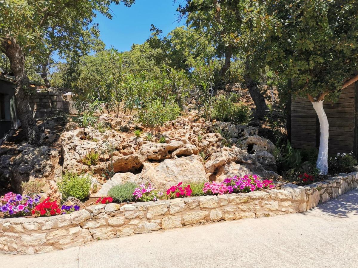 Villa Ermis - The Cretan Castello Kástellos Esterno foto