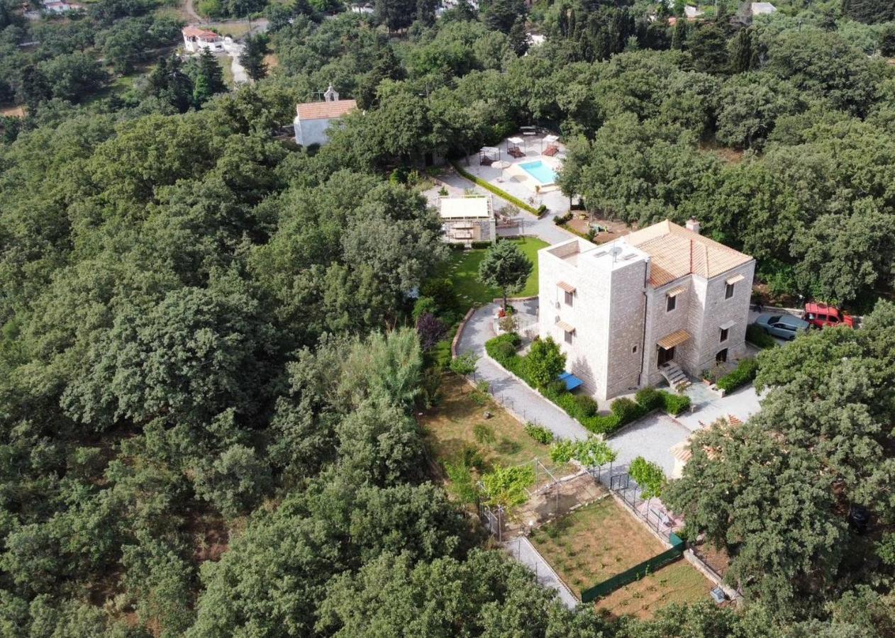 Villa Ermis - The Cretan Castello Kástellos Esterno foto